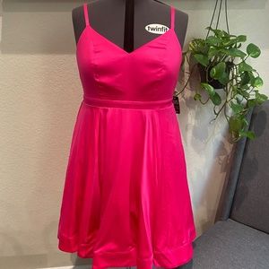 Hot Pink Torrid Dress with POCKETS!  Size 16
